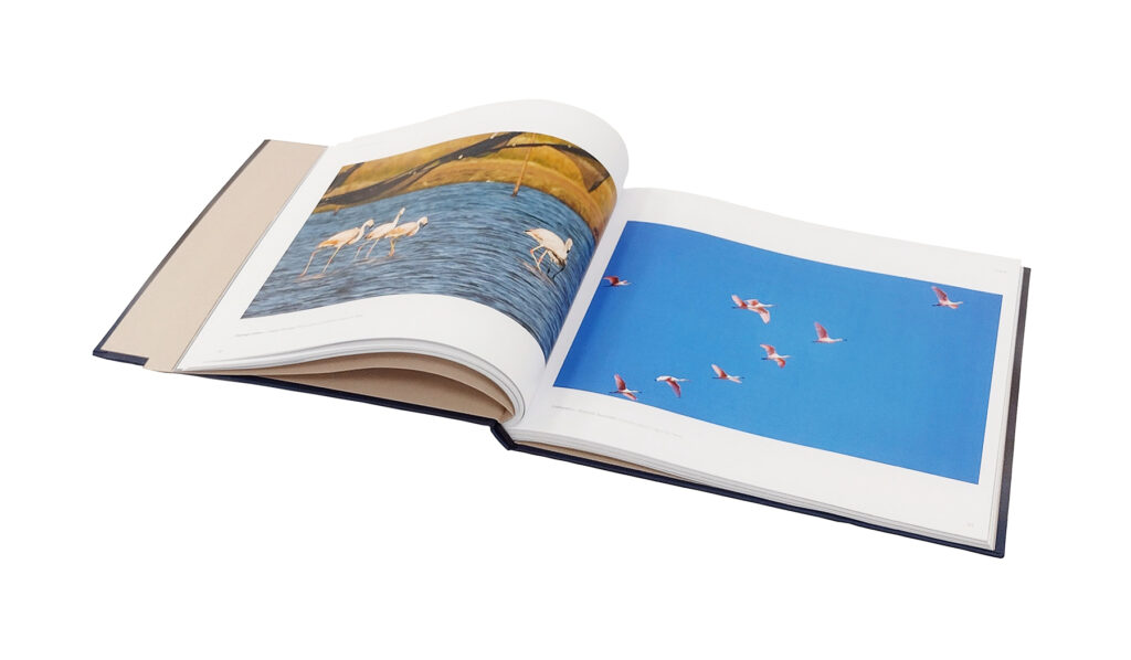 Médico lança livro de fotos autorais e doa renda para ONGs que apoiam doação de órgãos Médico lança livro de fotos autorais e doa renda para ONGs que apoiam doação de órgãos