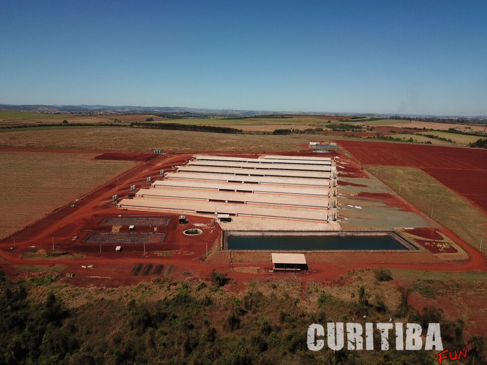 JA Agropecuária comemora aumento de 10 ton/mês na produtividade aliando automação e genética JA Agropecuária comemora aumento de 10 ton/mês na produtividade aliando automação e genética