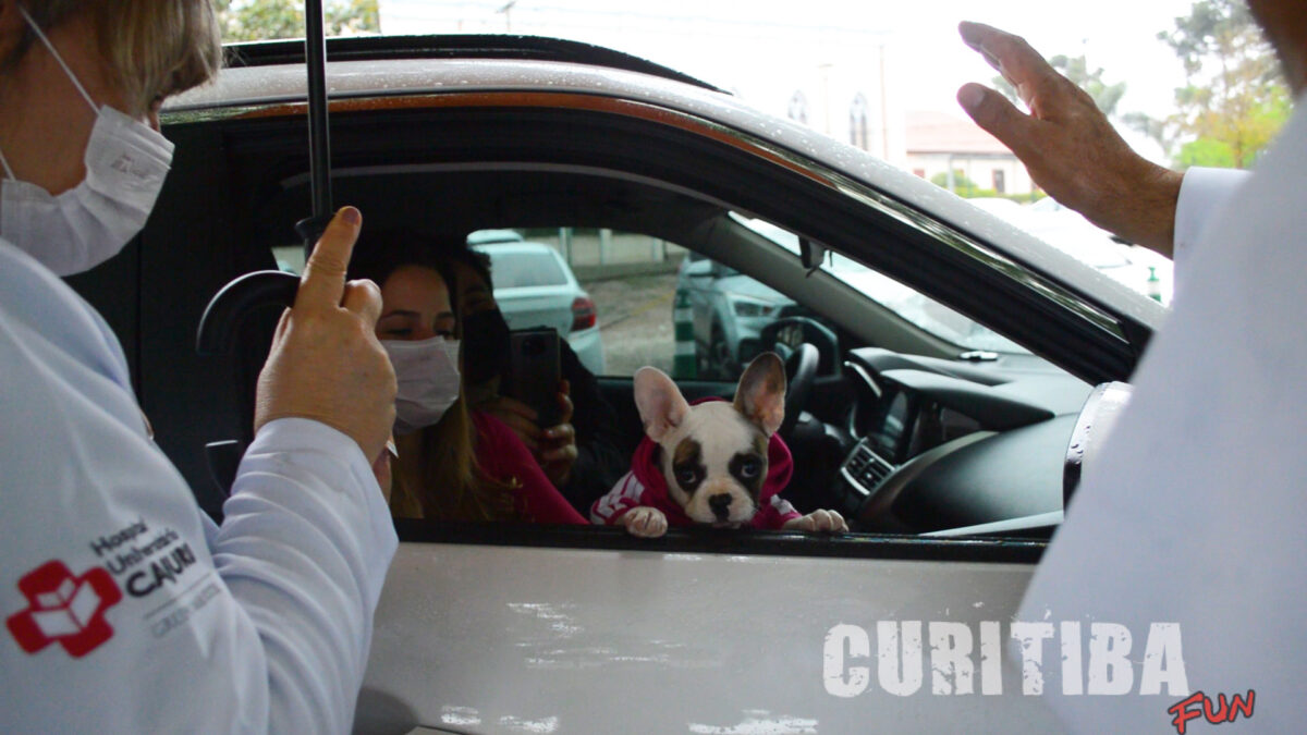 Hospitais de Curitiba promovem bênção de animais aberta ao público