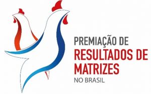 Superando limites: Premiação de Resultados de Matrizes Ross no Brasil