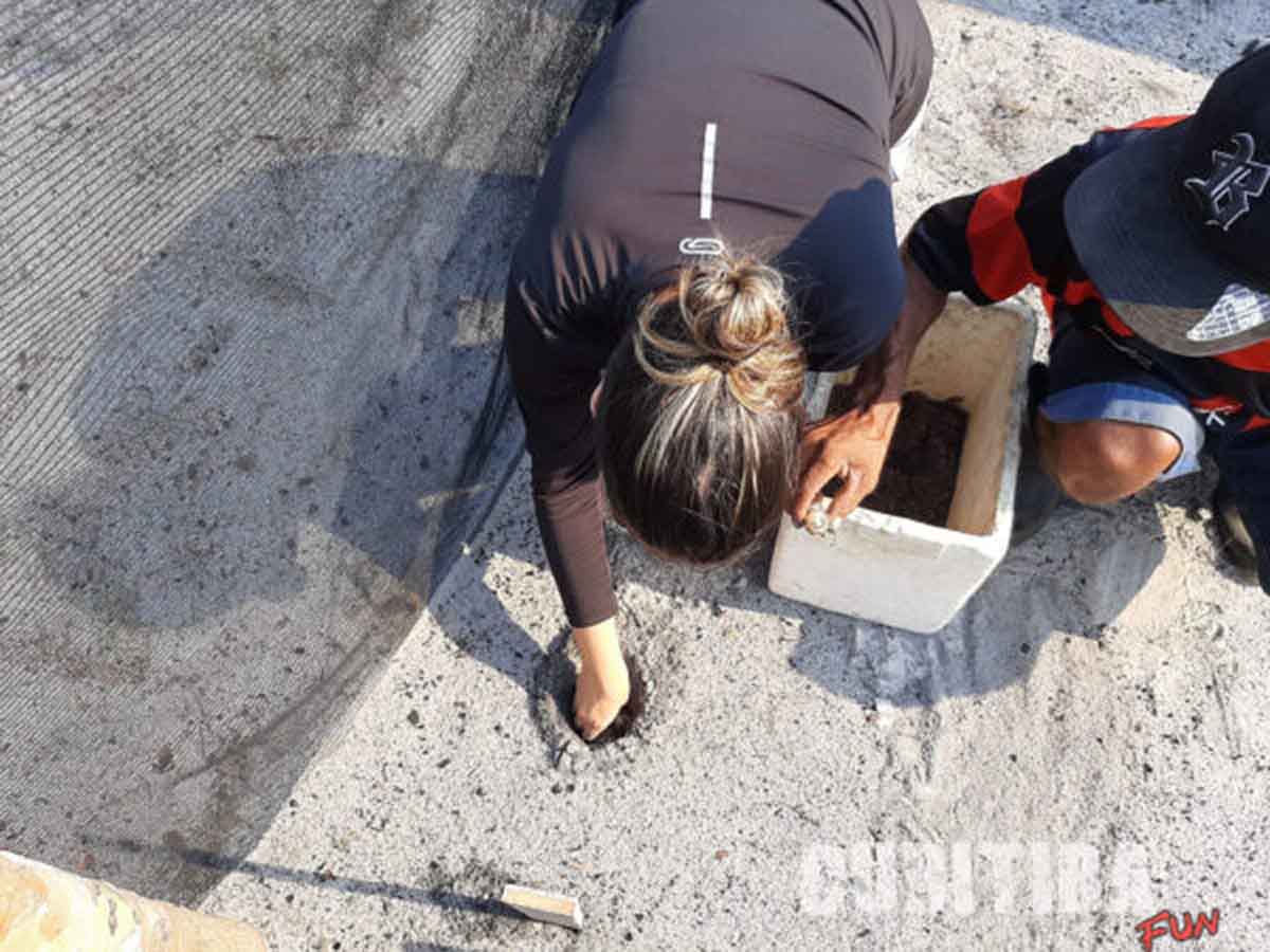Como a Vivalá está potencializando a preservação ambiental no Brasil por meio do Turismo Sustentável Como a Vivalá está potencializando a preservação ambiental no Brasil por meio do Turismo Sustentável