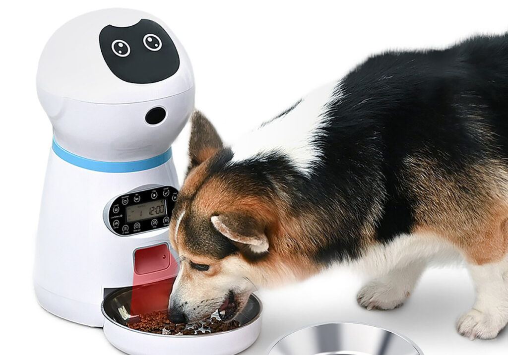 Automação: a evolução tecnológica no cuidado dos animais de estimação