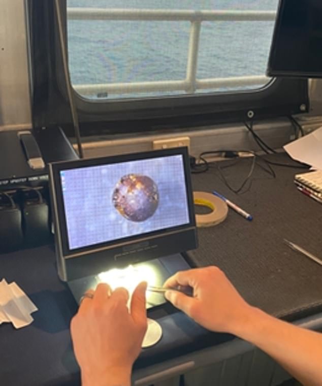 Possíveis restos de nave espacial alienígena encontrados no fundo do Oceano Pacífico