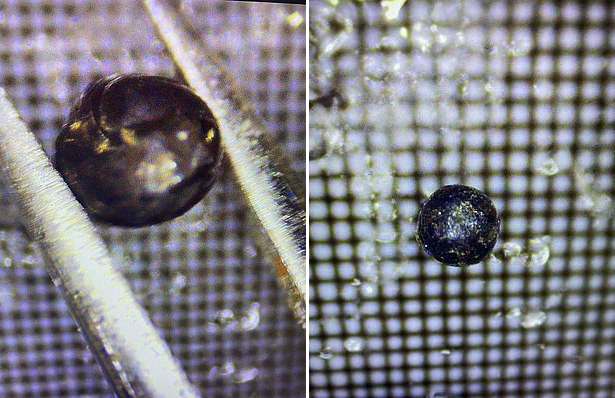 Possíveis restos de nave espacial alienígena encontrados no fundo do Oceano Pacífico