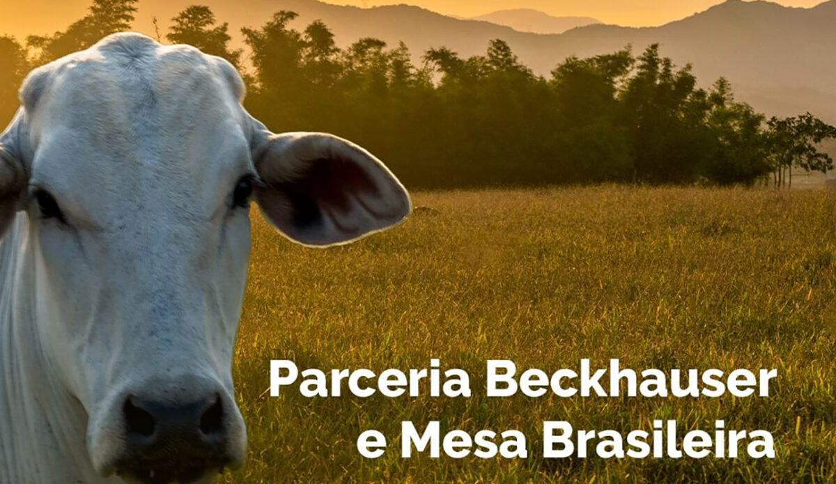 Beckhauser é mais nova associada da Mesa Brasileira da Pecuária Sustentável Beckhauser é mais nova associada da Mesa Brasileira da Pecuária Sustentável
