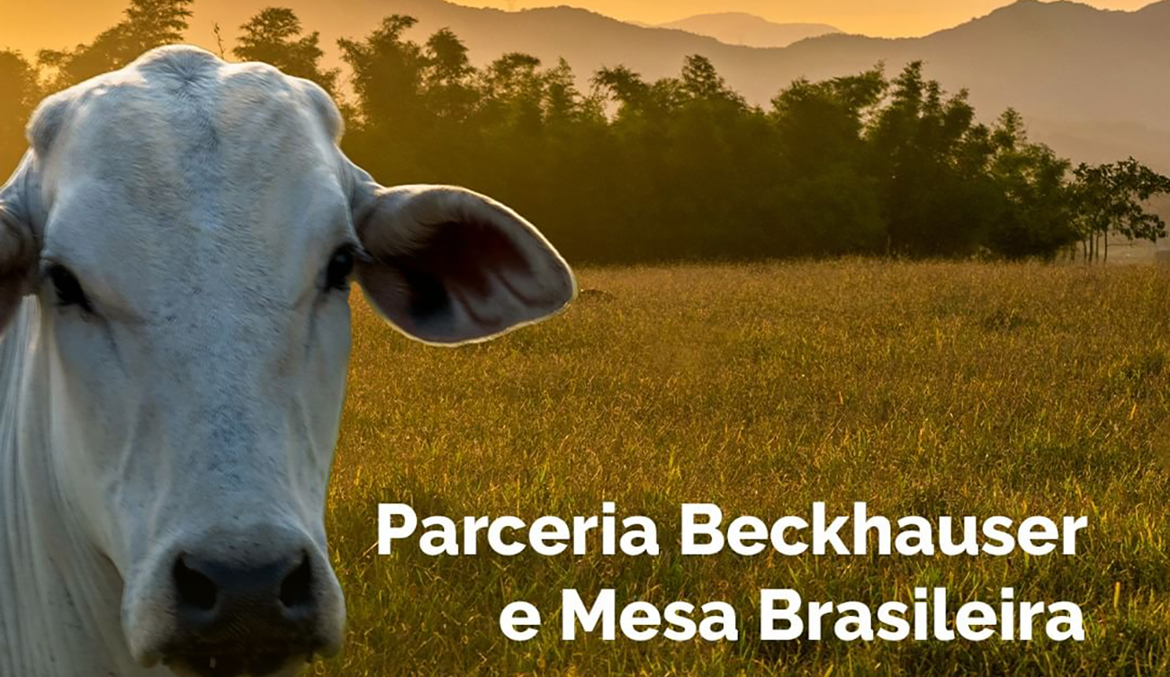 Beckhauser é mais nova associada da Mesa Brasileira da Pecuária Sustentável