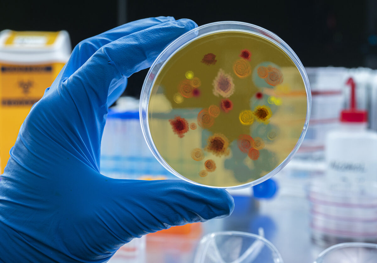 Doenças negligenciadas: impactos sociais, necessidade de conscientização e fortalecimento do sistema de saúde Doenças negligenciadas: impactos sociais, necessidade de conscientização e fortalecimento do sistema de saúde
