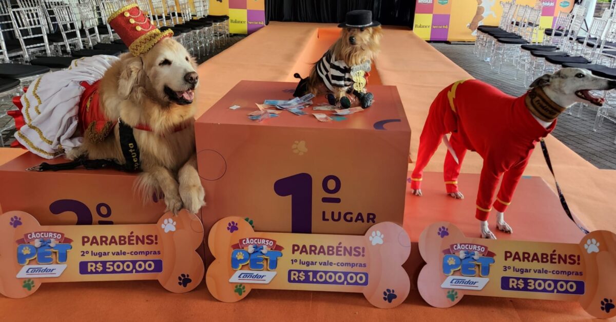 Cãocurso Condor vai premiar os cães com mais estilo e simpatia