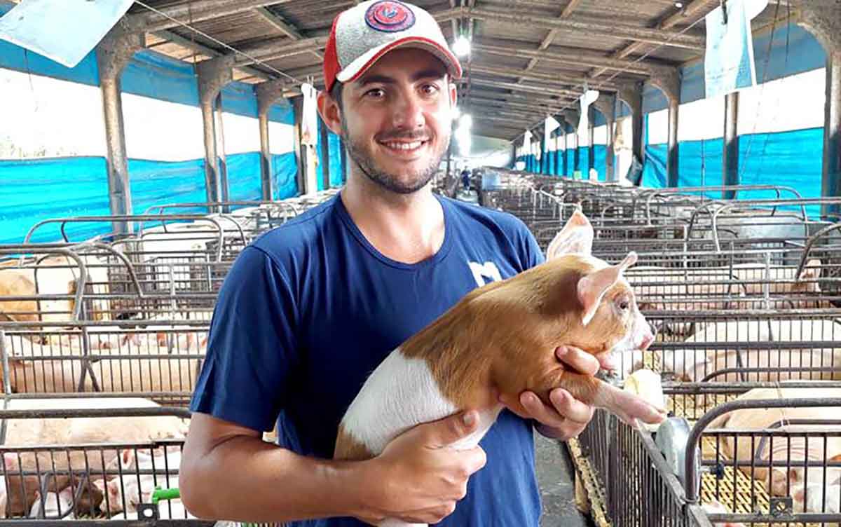 Suinocultura: novos gestores valorizam bem-estar animal e gestão de pessoas para o sucesso da atividade