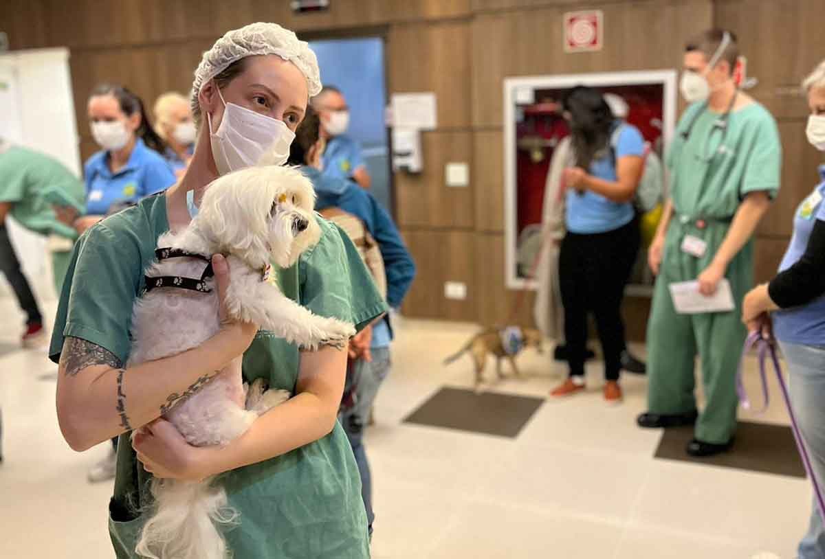 Voluntariado protege cérebro de idosos contra demência e perdas cognitivas