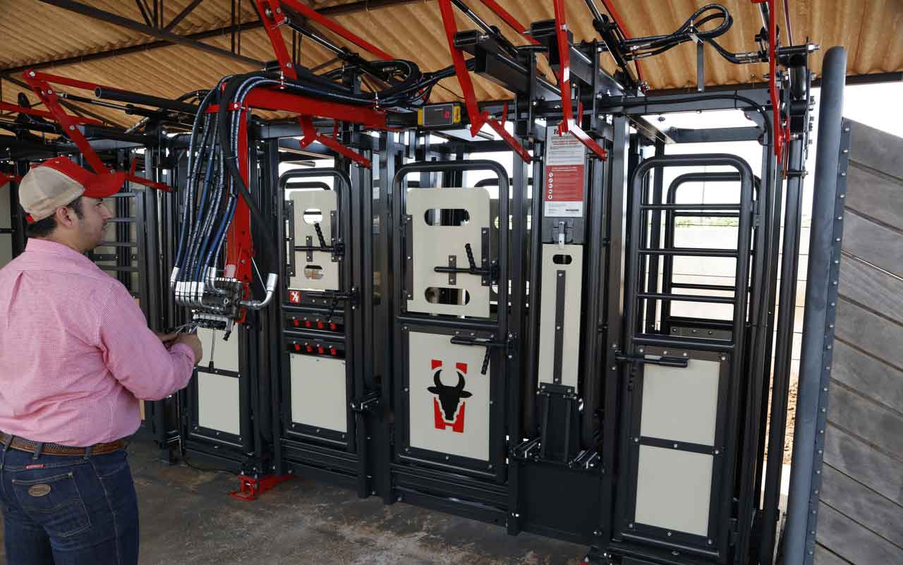 Atualizar a contenção bovina é estratégia para alavancar produtividade e o lucro da atividade pecuária