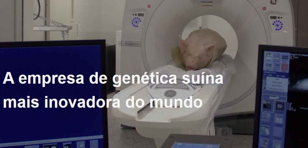 Topigs Norsvin revela o nome do novo Núcleo Genético de Lages (SC) Topigs Norsvin revela o nome do novo Núcleo Genético de Lages (SC)