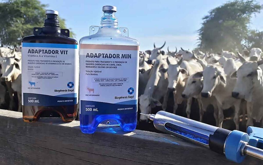 Biogénesis Bagó destaca soluções em sanidade, nutrição e silagem no 2º Simpósio Agropecuário de Paragominas