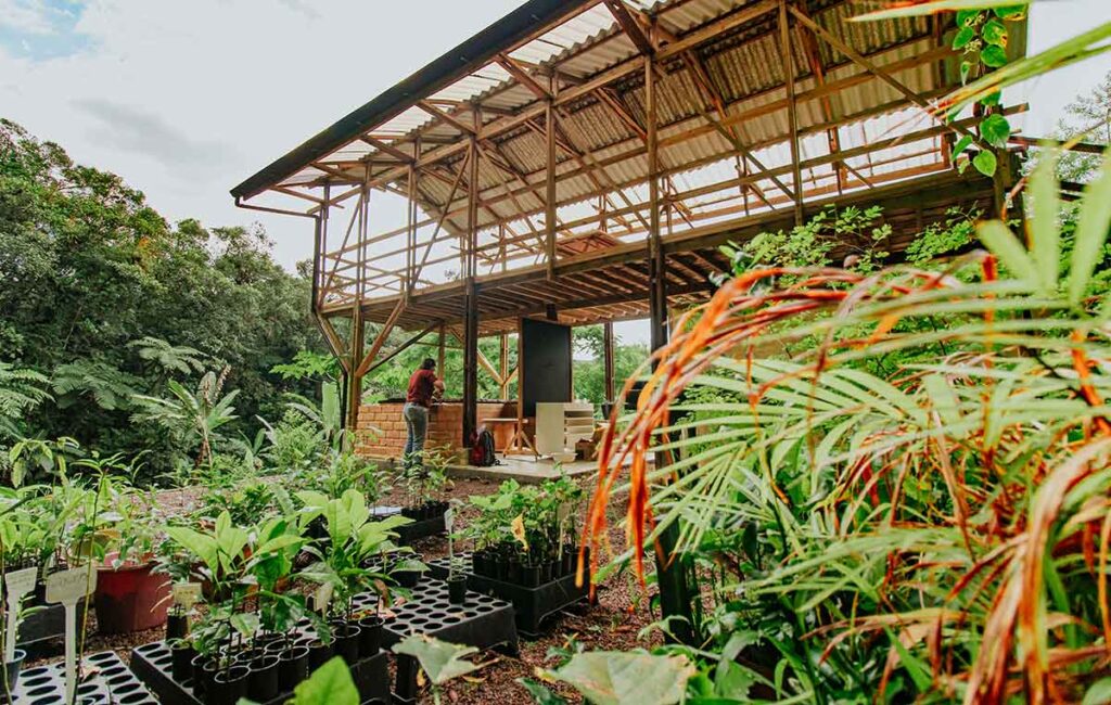 Como cientistas, um parque de experiências ecológicas, um aplicativo e uma fabricante de cachaças vêm trabalhando para restaurar a Mata Atlântica Como cientistas, um parque de experiências ecológicas, um aplicativo e uma fabricante de cachaças vêm trabalhando para restaurar a Mata Atlântica