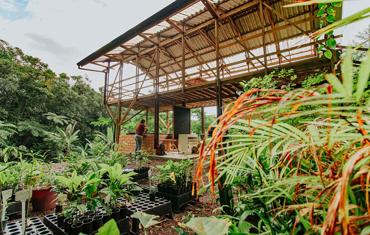 Como dinâmicas inspiradas na biomimética aplicadas aos negócios vêm contribuindo com a melhora de resultados e com o desempenho de equipes de multinacionais