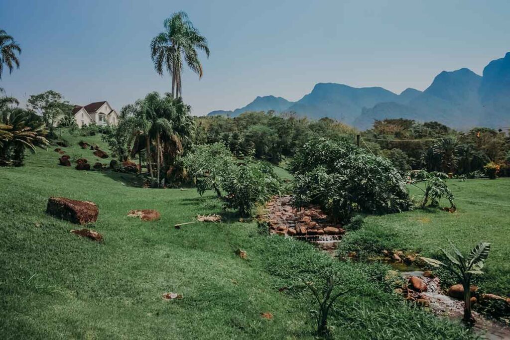 Como cientistas, um parque de experiências ecológicas, um aplicativo e uma fabricante de cachaças vêm trabalhando para restaurar a Mata Atlântica Como cientistas, um parque de experiências ecológicas, um aplicativo e uma fabricante de cachaças vêm trabalhando para restaurar a Mata Atlântica