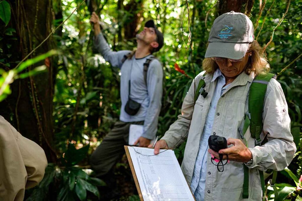 Como cientistas, um parque de experiências ecológicas, um aplicativo e uma fabricante de cachaças vêm trabalhando para restaurar a Mata Atlântica Como cientistas, um parque de experiências ecológicas, um aplicativo e uma fabricante de cachaças vêm trabalhando para restaurar a Mata Atlântica