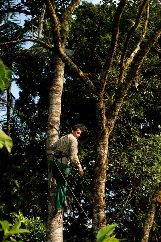 Como cientistas, um parque de experiências ecológicas, um aplicativo e uma fabricante de cachaças vêm trabalhando para restaurar a Mata Atlântica Como cientistas, um parque de experiências ecológicas, um aplicativo e uma fabricante de cachaças vêm trabalhando para restaurar a Mata Atlântica