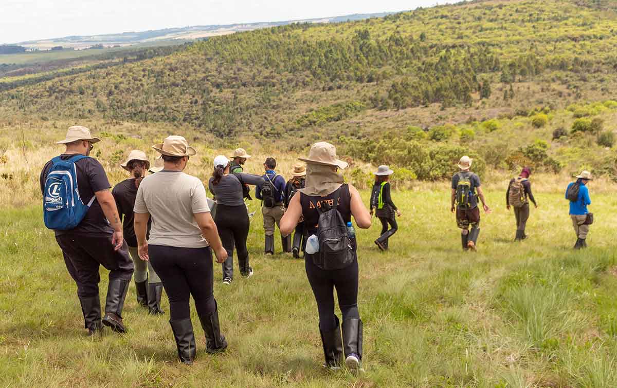 Parque Estadual de Vila Velha reabre a Trilha da Fortaleza