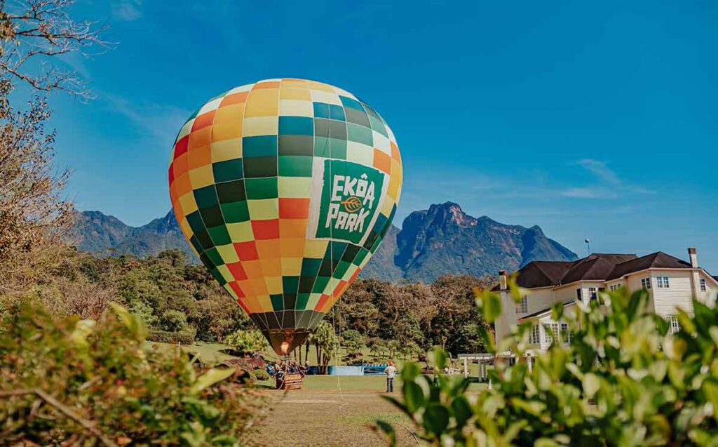 Como cientistas, um parque de experiências ecológicas, um aplicativo e uma fabricante de cachaças vêm trabalhando para restaurar a Mata Atlântica Como cientistas, um parque de experiências ecológicas, um aplicativo e uma fabricante de cachaças vêm trabalhando para restaurar a Mata Atlântica