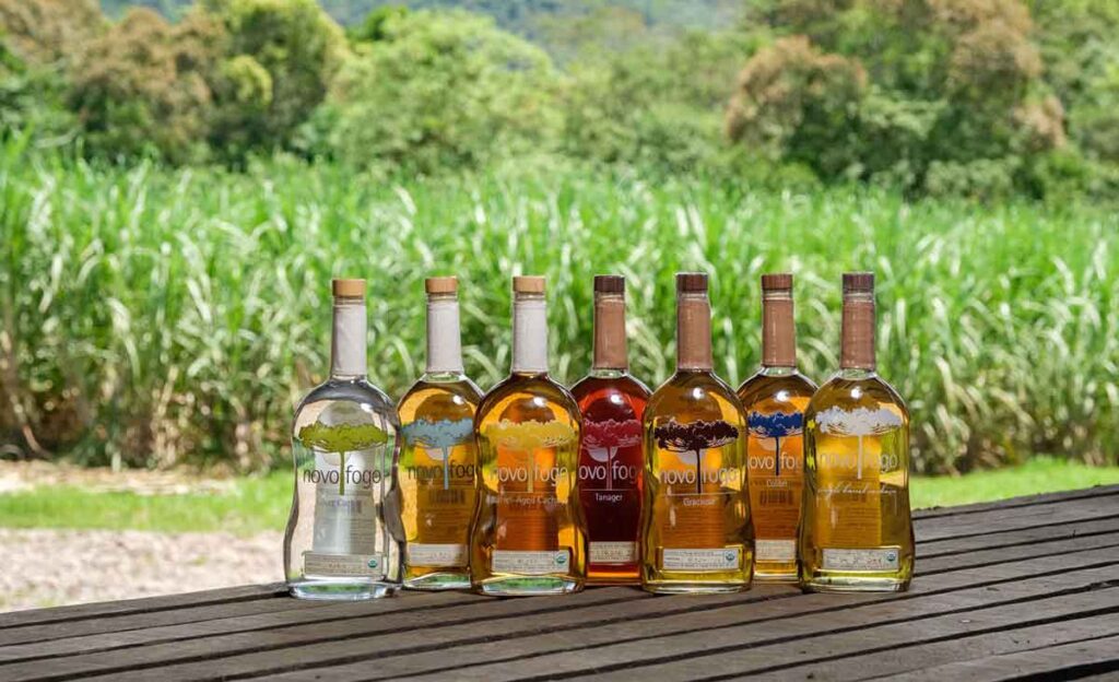 Como cientistas, um parque de experiências ecológicas, um aplicativo e uma fabricante de cachaças vêm trabalhando para restaurar a Mata Atlântica Como cientistas, um parque de experiências ecológicas, um aplicativo e uma fabricante de cachaças vêm trabalhando para restaurar a Mata Atlântica