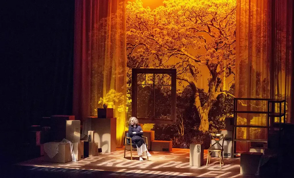 Irene Ravache comemora 80 anos e traz para Curitiba o seu premiado espetáculo “Alma Despejada”