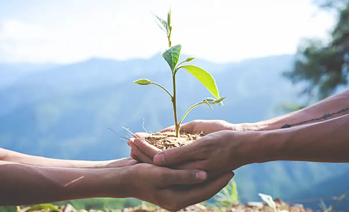 Sucessão familiar é desafio para o crescimento sustentável dos negócios no campo