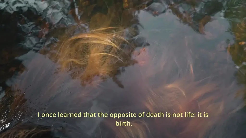 "Sobre Perecer": exposição inédita em Curitiba explora a morte e as múltiplas facetas do luto na relação humana "Sobre Perecer": exposição inédita em Curitiba explora a morte e as múltiplas facetas do luto na relação humana