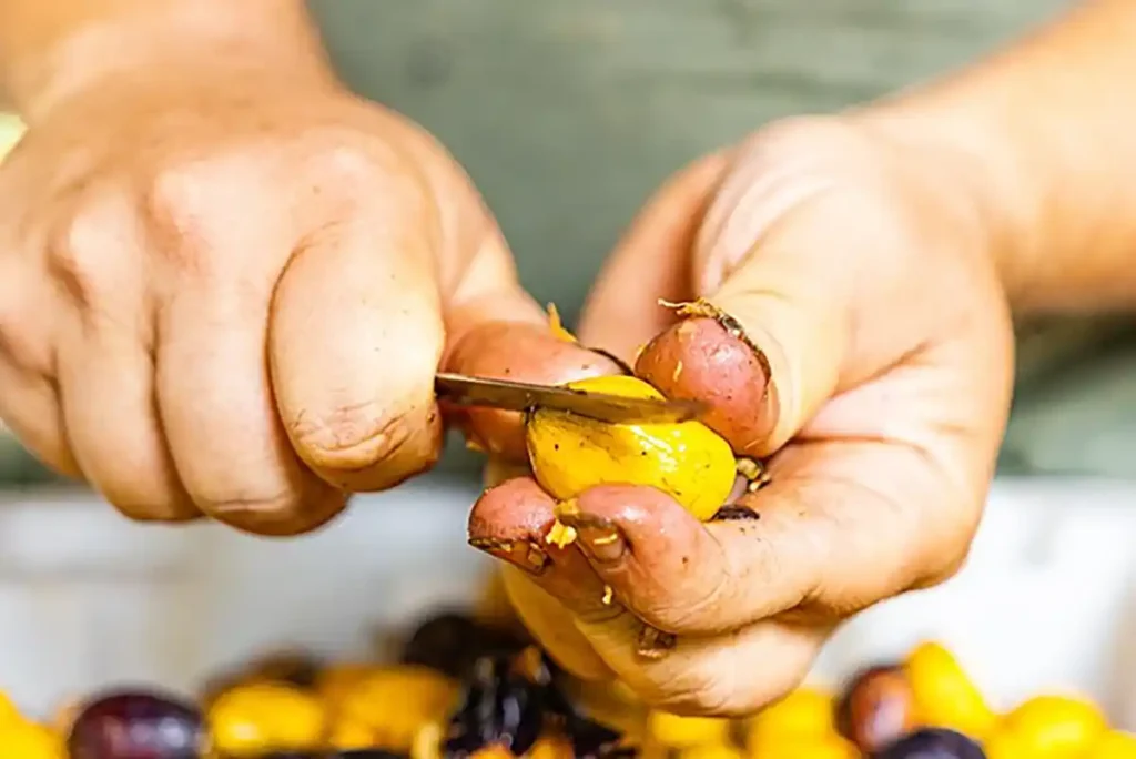 Parceria entre SPVS e BAT apoia conservação da biodiversidade em áreas de Mata Atlântica no litoral do Paraná Parceria entre SPVS e BAT apoia conservação da biodiversidade em áreas de Mata Atlântica no litoral do Paraná
