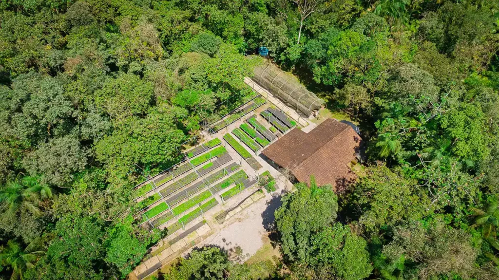 Parceria entre SPVS e BAT apoia conservação da biodiversidade em áreas de Mata Atlântica no litoral do Paraná Parceria entre SPVS e BAT apoia conservação da biodiversidade em áreas de Mata Atlântica no litoral do Paraná