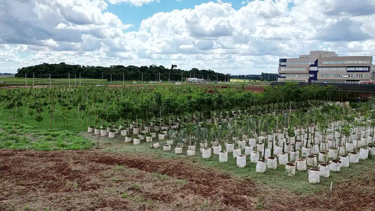 Biopark: Plantio de 1.300 árvores possibilita criação de corredor ecológico e de fluxo gênico de plantas em parque tecnológico