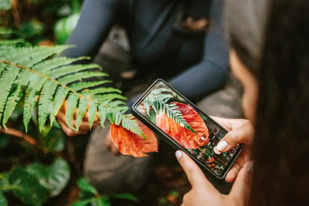 Ekôa Park promove experiências de observação de aves e imersão fotográfica na natureza
