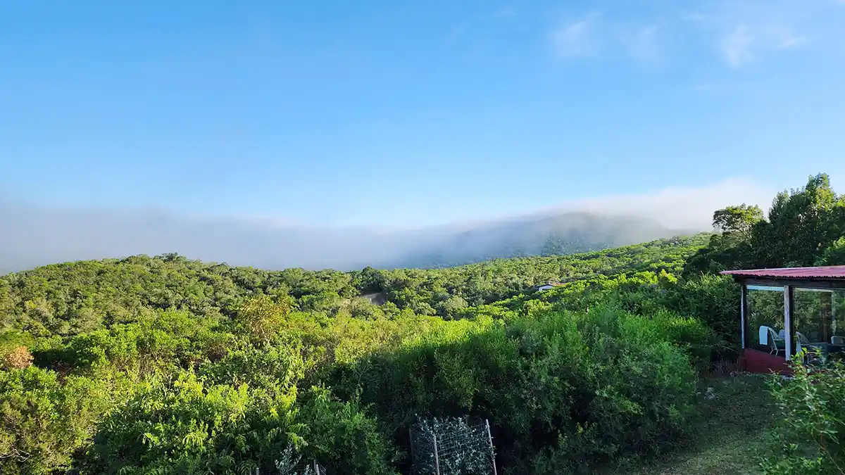 Mata Atlântica: Iniciativas de conservação da biodiversidade brasileiras são apresentadas ao presidente do Uruguai e autoridades do país