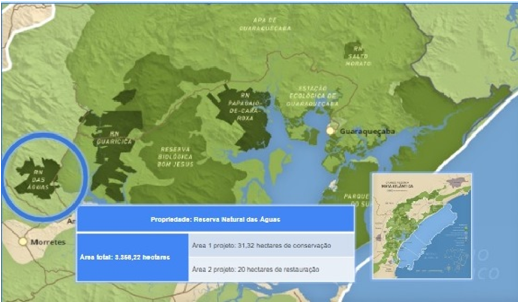 Parceria entre SPVS e BAT apoia conservação da biodiversidade em áreas de Mata Atlântica no litoral do Paraná Parceria entre SPVS e BAT apoia conservação da biodiversidade em áreas de Mata Atlântica no litoral do Paraná