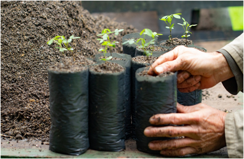 Parceria entre SPVS e BAT apoia conservação da biodiversidade em áreas de Mata Atlântica no litoral do Paraná Parceria entre SPVS e BAT apoia conservação da biodiversidade em áreas de Mata Atlântica no litoral do Paraná