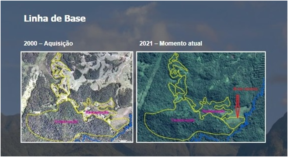 Parceria entre SPVS e BAT apoia conservação da biodiversidade em áreas de Mata Atlântica no litoral do Paraná Parceria entre SPVS e BAT apoia conservação da biodiversidade em áreas de Mata Atlântica no litoral do Paraná
