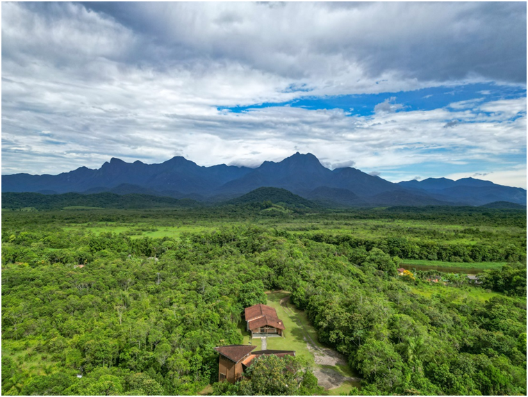 Parceria entre SPVS e BAT apoia conservação da biodiversidade em áreas de Mata Atlântica no litoral do Paraná Parceria entre SPVS e BAT apoia conservação da biodiversidade em áreas de Mata Atlântica no litoral do Paraná