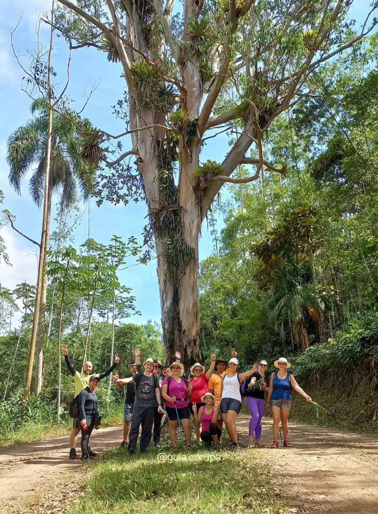 Ecoturismo em Santa Catarina: 5 dicas de atividades para aproveitar no Outono