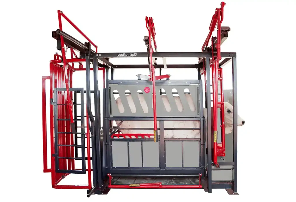 Beckhauser cria primeiro equipamento de contenção bovina do mercado com foco na necessidade do pequeno produtor