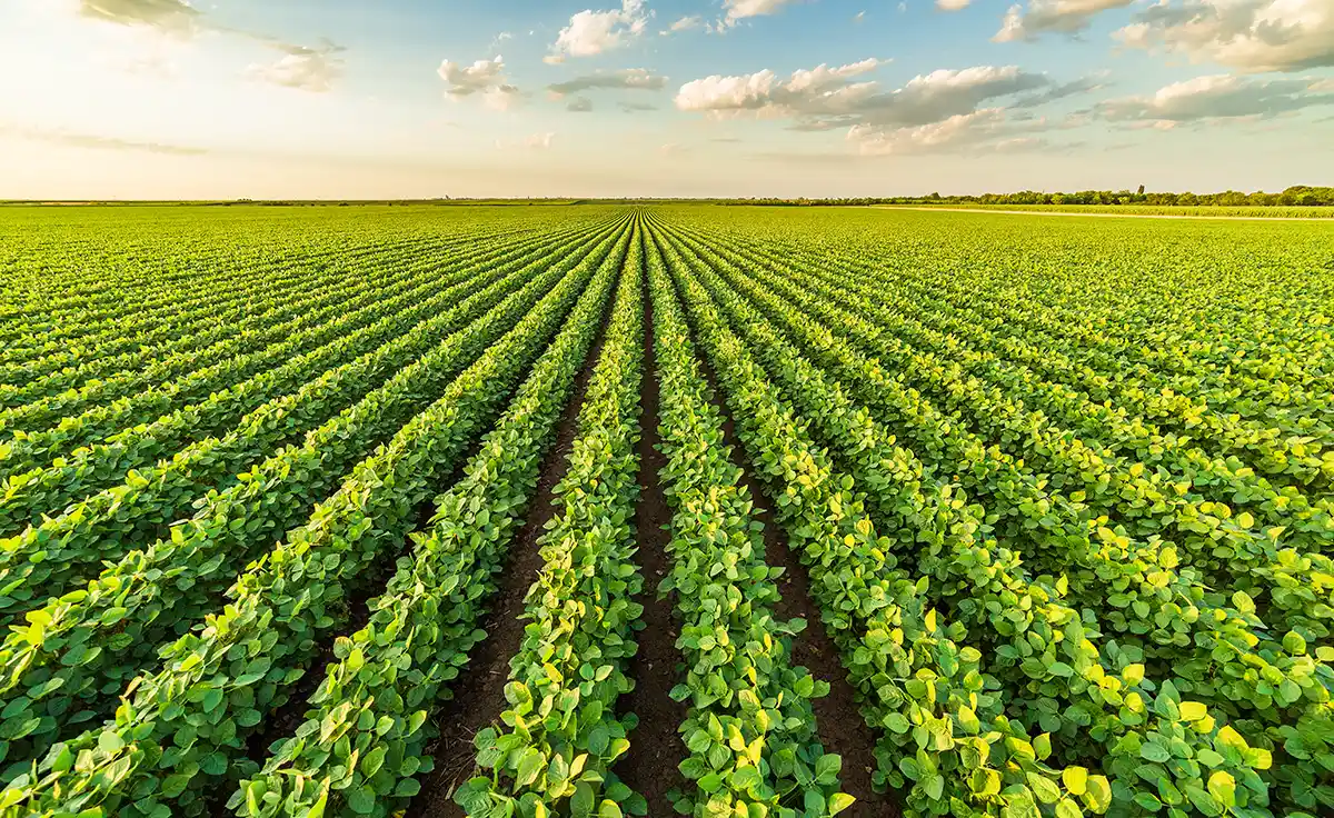 IHARA estará presente na AgroBrasília com novas tecnologias para as culturas da soja e milho