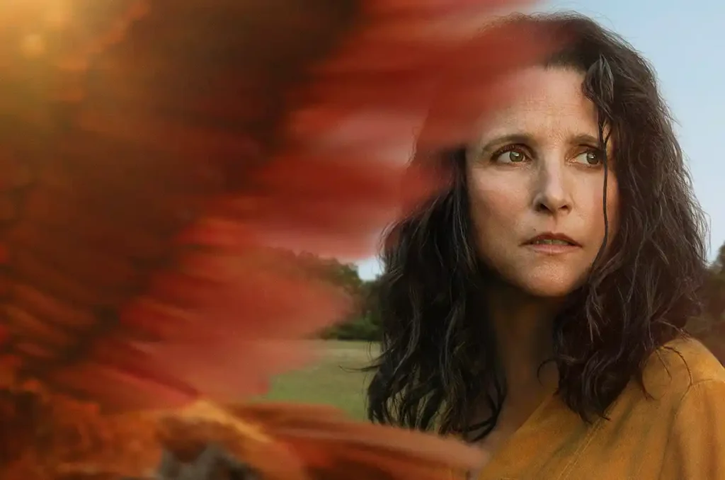 Drama "Tuesday – O Último Abraço", da A24, tem nova data de estreia: 18 de julho