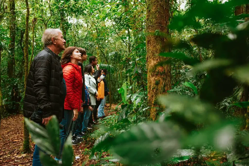 No dia dos pais, Ekôa Park promove domingo com oficia de “sobrevivência na selva” para pais e filhos aventureiros No dia dos pais, Ekôa Park promove domingo com oficia de “sobrevivência na selva” para pais e filhos aventureiros