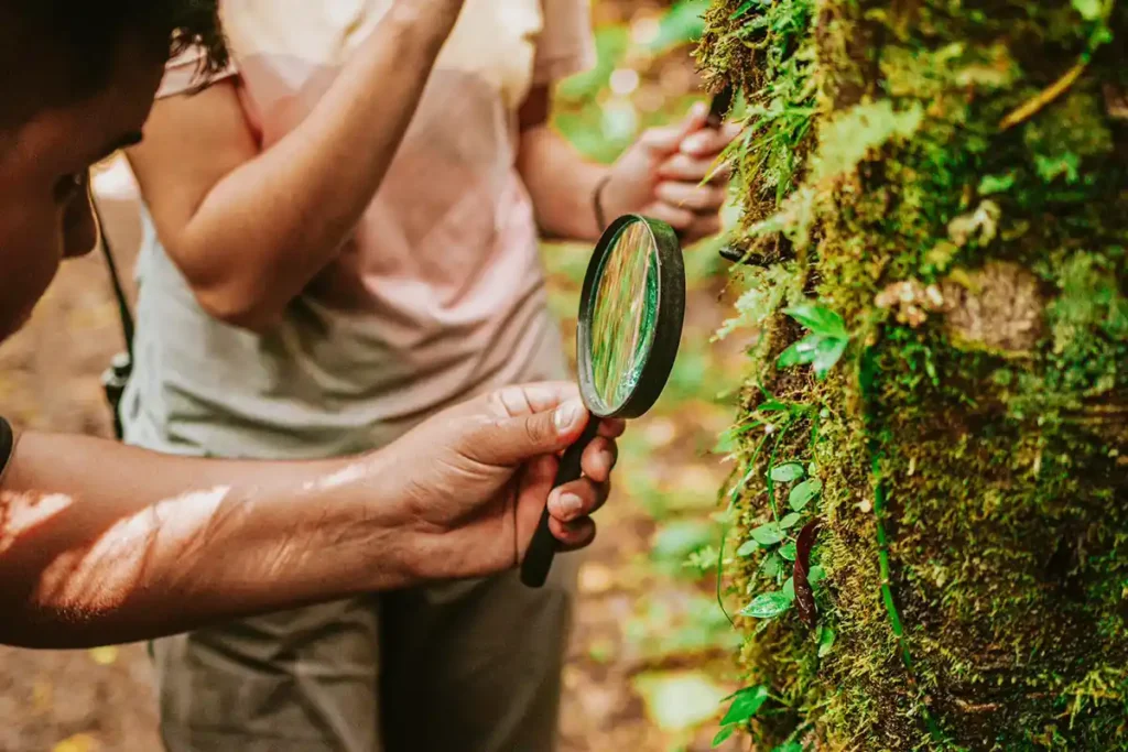 No dia dos pais, Ekôa Park promove domingo com oficia de “sobrevivência na selva” para pais e filhos aventureiros No dia dos pais, Ekôa Park promove domingo com oficia de “sobrevivência na selva” para pais e filhos aventureiros