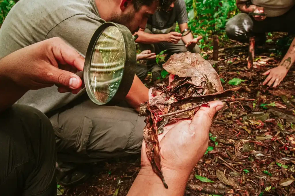 No dia dos pais, Ekôa Park promove domingo com oficia de “sobrevivência na selva” para pais e filhos aventureiros No dia dos pais, Ekôa Park promove domingo com oficia de “sobrevivência na selva” para pais e filhos aventureiros