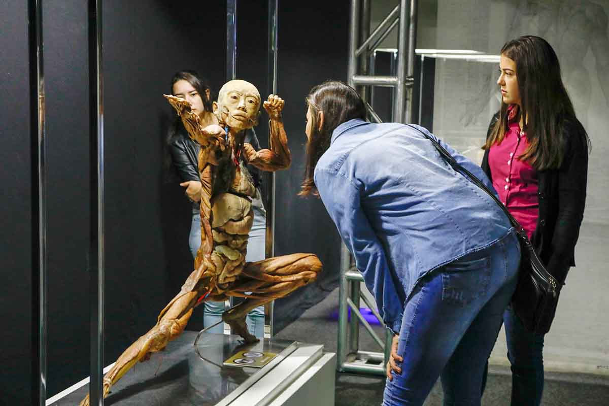 Human Bodies – Maravilhas do Corpo Humano vem a Curitiba Human Bodies – Maravilhas do Corpo Humano vem a Curitiba