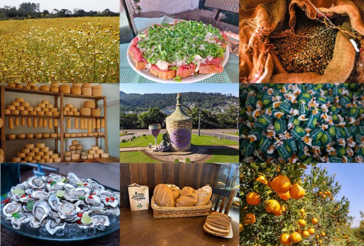 Workshop “Descobrindo Tesouros” terá negócios e aulas com produtos de Indicação Geográfica