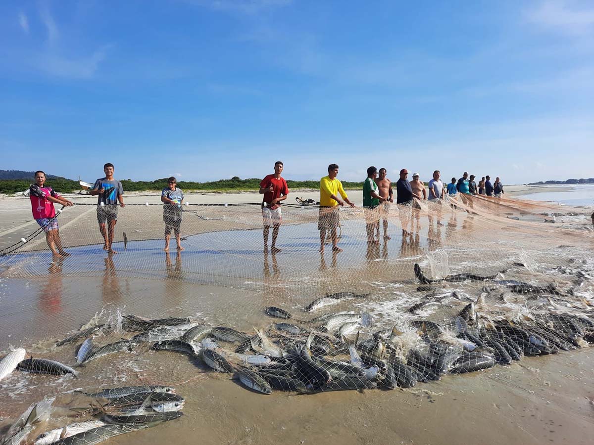 Ilha do Mel recebe durante o mês de julho a sua tradicional Festa da Tainha Ilha do Mel recebe durante o mês de julho a sua tradicional Festa da Tainha