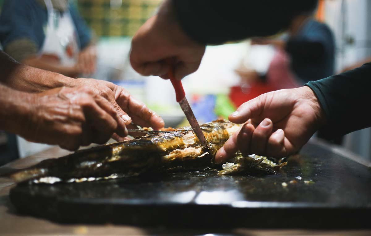 Ilha do Mel recebe durante o mês de julho a sua tradicional Festa da Tainha Ilha do Mel recebe durante o mês de julho a sua tradicional Festa da Tainha