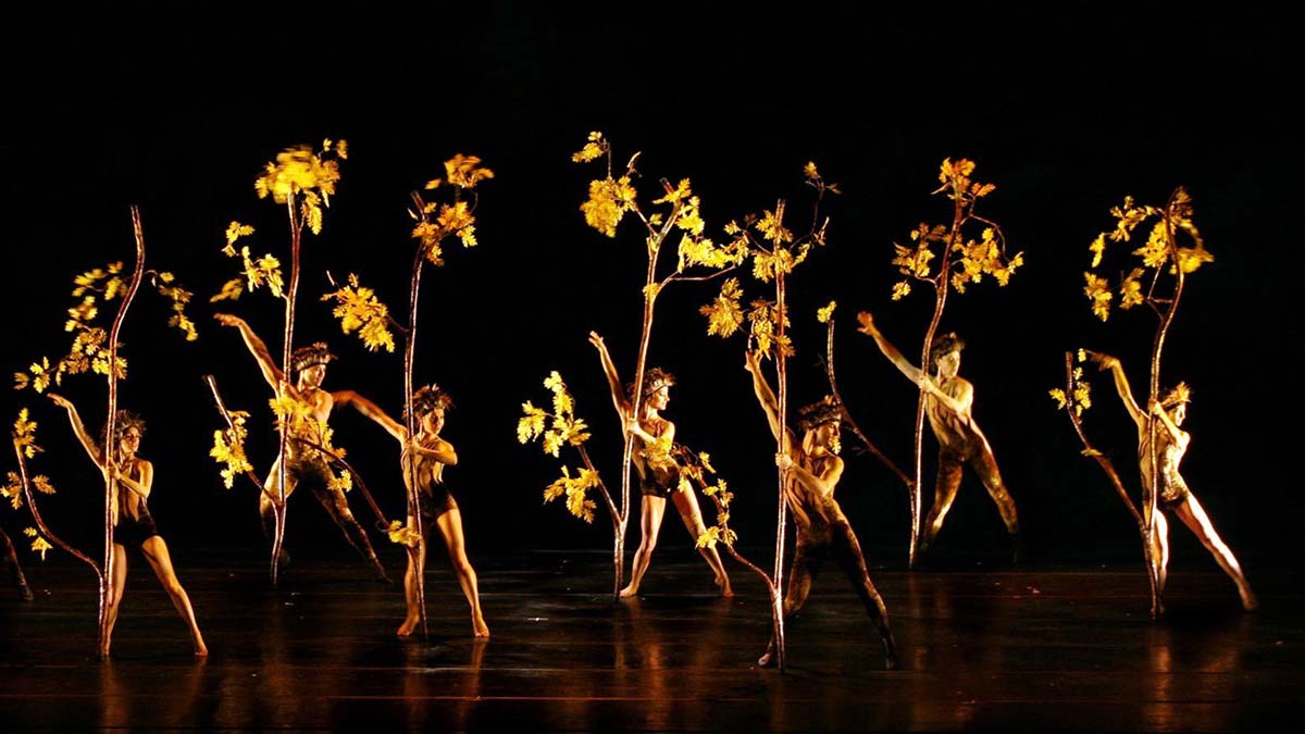 MOMIX traz espetáculo BOTANICA para Curitiba em apresentação única no Teatro Positivo