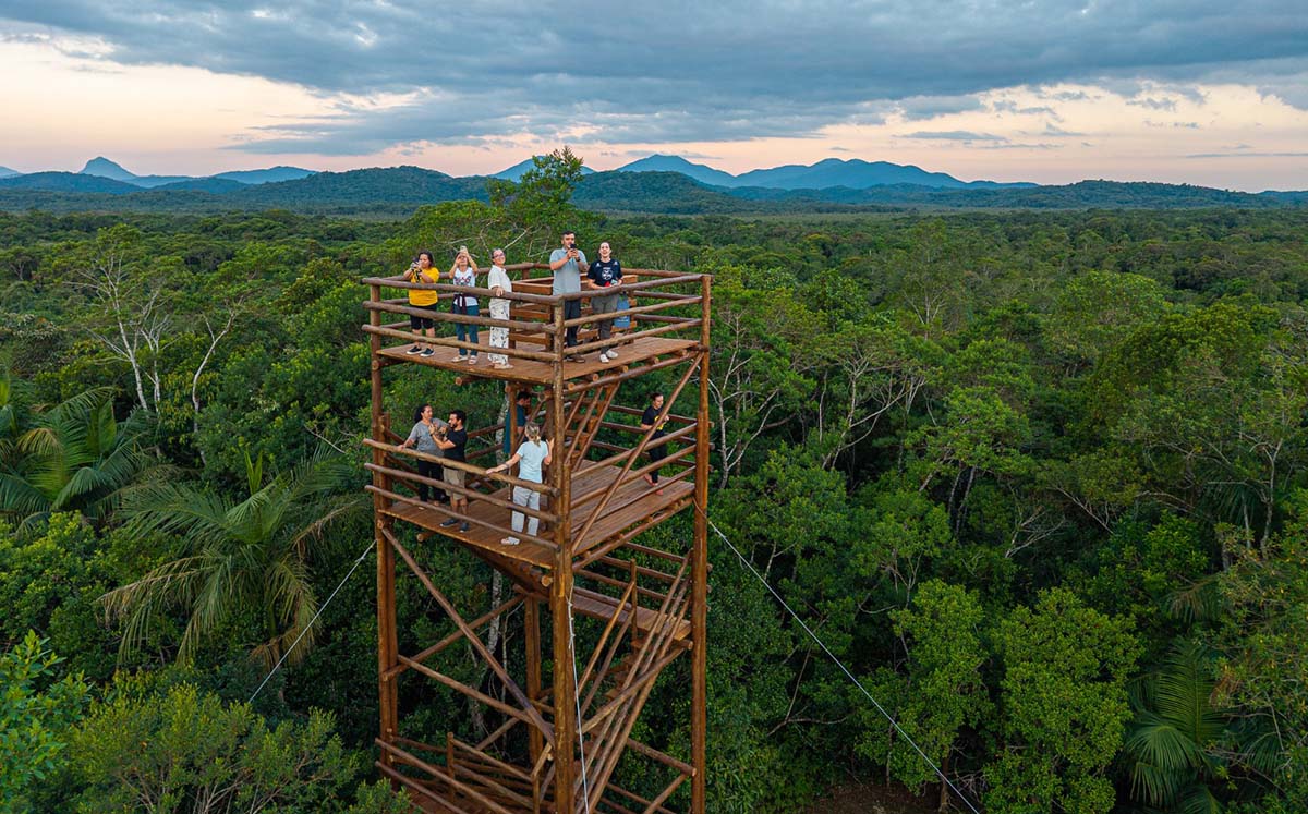 Após mais de 1 milhão de mudas plantadas, área de conservação do Paraná ganha torre para observar a biodiversidade da Mata Atlântica Após mais de 1 milhão de mudas plantadas, área de conservação do Paraná ganha torre para observar a biodiversidade da Mata Atlântica
